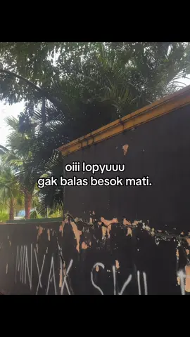 #galaubrutal 