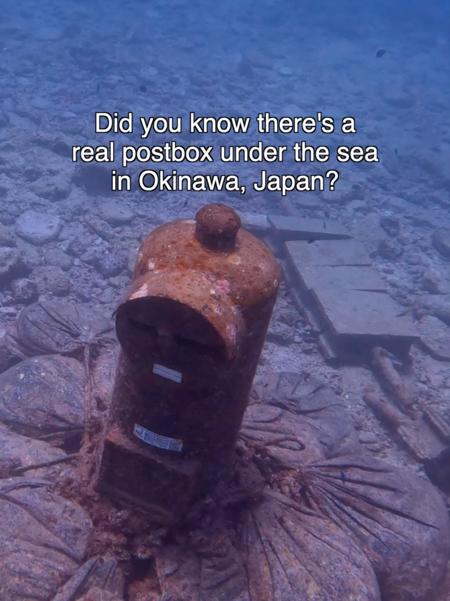 We mailed you a love letter, but it may be a little wet! #ocean #underwater #freediving #bucketlist