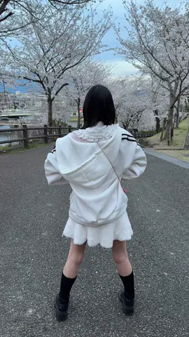 押されたら下まで転がりそうなやつ🫨#福岡 #jc #fyp #ラブライブ 