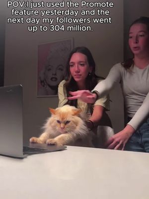 Make your TikTok go viral with Promote!
