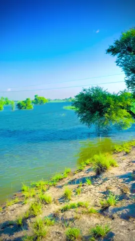 #foryou #Hrahimyarkhan #Hviralvid #khanbela #♥️♥️🌹🥀🥀💙🙏👈 