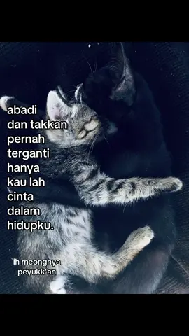 #fyp #gaksukaskip📵 