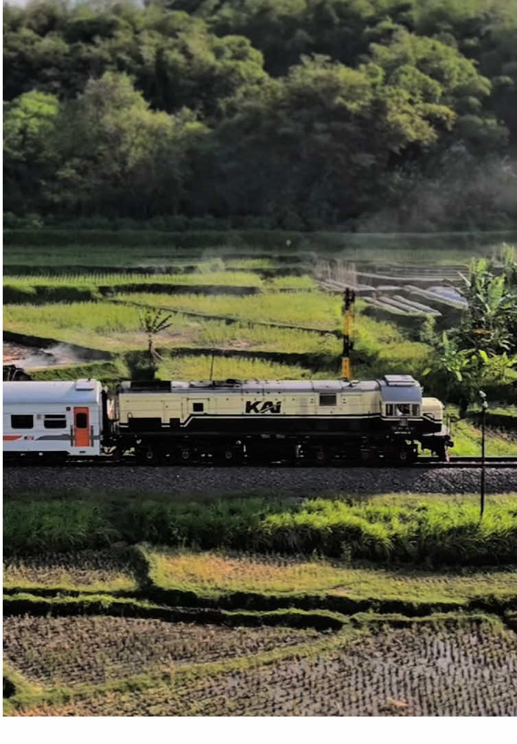 Drone view lokomotif CC 201 livery vintage melintas bumi pasundan😻.. Inframe: KA 291 Kutojaya Selatan *Drone video by @ASKARA NATRA airrifle.IND haturnuhun🙏🏻 #keretaapi #vintage #lokomotif #cc2019201jr 