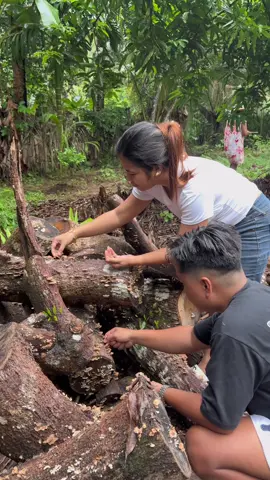 Buhay Probinsya Serye nanguha kami ng Kulat ang damii!🥹❤️ #probinsya #probinsyana #province #provincelife #infantaquezon 