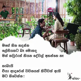 නිවෙන්න 🥺❤️🐼!