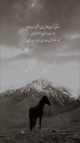 زندگی گزری تلاش میں لیکن اب جانا خدا سے بڑا کوئی ہمسفر نہیں اور خاموشی سے بڑی کوئی زبان نہیں #fyp #aesthatic #donotunderreviewmyvideos #viwesproblem 