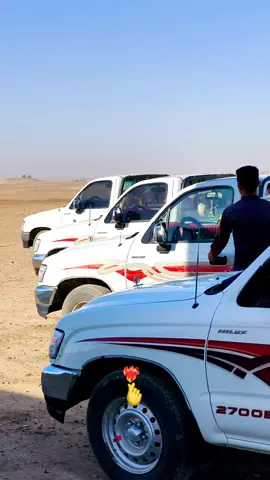 #راعي_الهايلوكس 