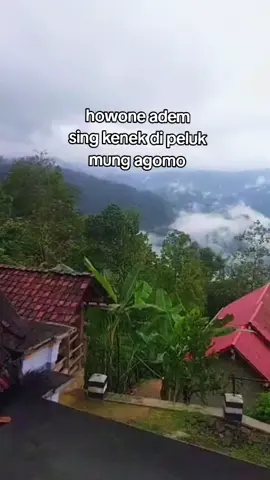 umume omah Ning galek🥶#promoseruweekend #fypage #trenggalek24jam 