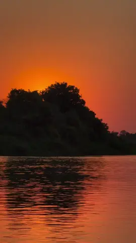 Gratitude . #travelwithruigotoursafaris #nature #adventure #Travellife #luxury 