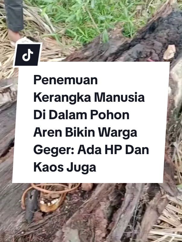 Warga Desa Pematang Ganjang, Kecamatan Sei Rampah, Kabupaten Serdang Bedagai (Sergai), Sumatera Utara, dibuat heboh dengan penemuan mengejutkan. Sebuah kerangka manusia ditemukan terselip di dalam batang pohon aren yang tumbang di kawasan tersebut. Penemuan itu sontak mengundang perhatian masyarakat sekitar. Banyak warga berdatangan ke lokasi untuk memastikan kebenaran kabar tersebut, sementara pihak kepolisian langsung bergerak melakukan penyelidikan guna mengungkap identitas serta penyebab kemunculan kerangka manusia di dalam pohon aren itu. Ps Kasi Humas Polres Sergai, Iptu LB Manullang menjelaskan, di lokasi ditemukan sejumlah barang bukti. Antara lain 1 celana panjang hitam, 1 kaos bertuliskan 'Justrun', sebuah Hp Nokia, gelang aluminium, dan kerangka tulang belulang manusia. #hariharijakarta #jktinfo #infojakarta #jakarta #jakartatimur 