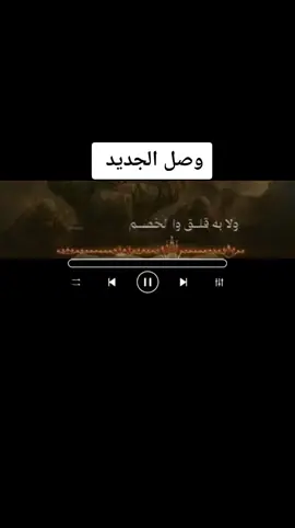 زامل جديد من العيار الثقيل#CapCut #قوالب_كاب_كات #عيسى_الليث #fyp 