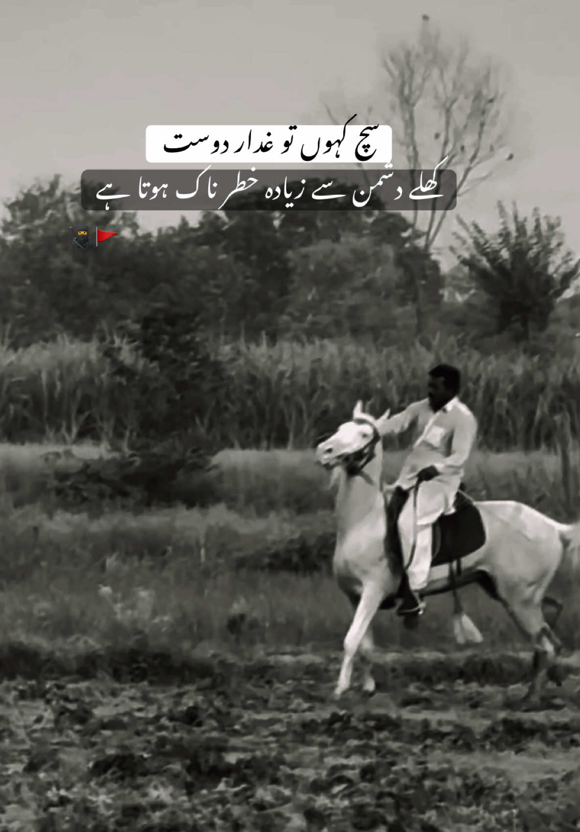 HAN G💀’ . . . #fyp #sultanwrite34 #viraltiktok #foryoupage #millionviews 