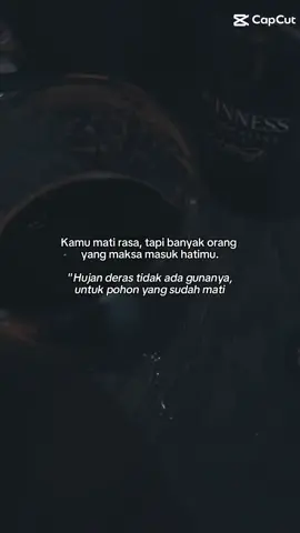 #CapCut 