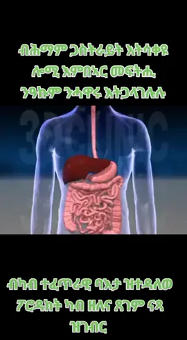 #eritreantiktok🇪🇷🇪🇷habesha #habeshatiktok #edit #fypdong #viralvideos 