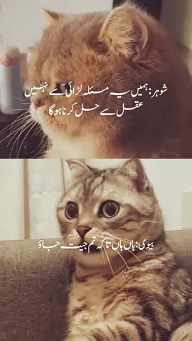 #foryoupageoffical #foryoupage  #foryoupageofficial #foryoU #viral #meme#memes #cats #funnyvideos #viralmemes 