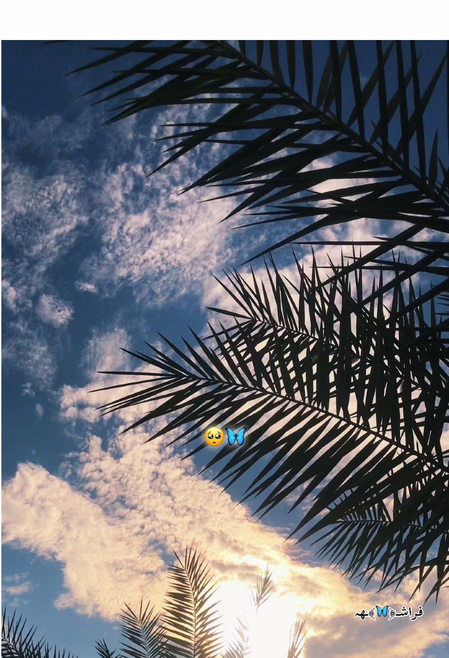 🥺🦋⛅️ #تصويري #محمد_عبد_الجبار #شمسين #farashah_m #explore 