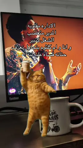 #الشعب_الصيني_ماله_حل😂😂 #ضحك😂  #لحظه_ادراك  #viral  #funnyvideos  