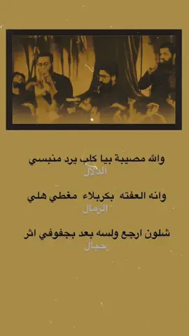 #هيئة_الزهراء_عليها_السلام #سيد_مهدي_البكاء#سجاد_المحمداوي #نوح_المحمداوي 