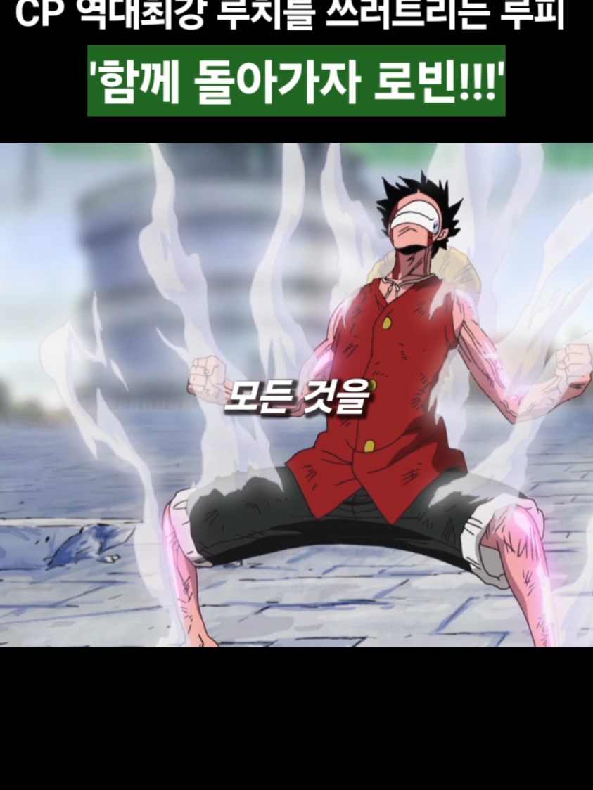 역대 최강요원 루치를 쓰러트리는 루피
