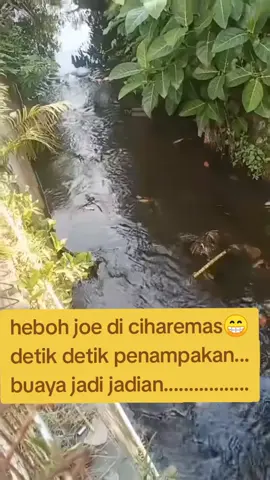 detik detik penampakan buaya jadi jadian