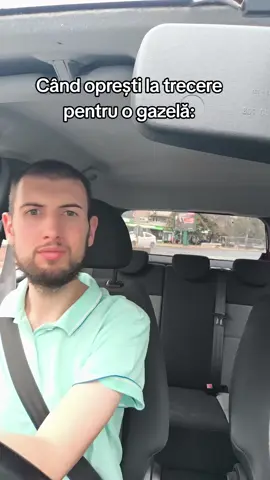 #trecere #pietoni #gazela #jullymohora #romania 