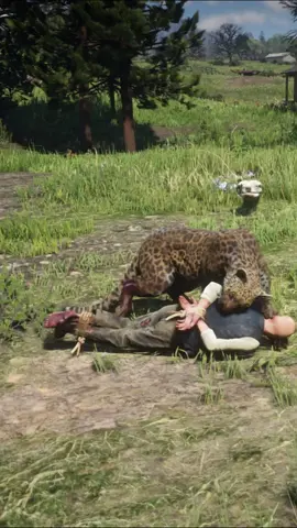 GREAT SURVIVAL SKILLS FOR FANS  #survival #survivalskill #viral #foryou 