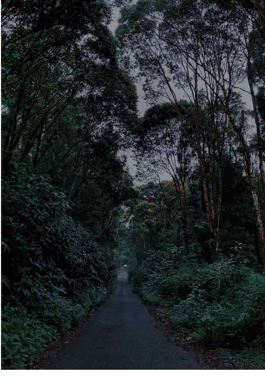 The road that I miss :)  #vibessad #sad 