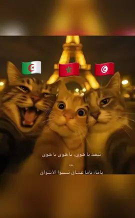 🥲#المغرب_العربي 