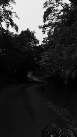 This road 🥺🤍 #travel #trvellife #welcomehome #billieeilish #traveltiktok #for #foryoupagee #viral #visitsrilanka #dedugala #fory 