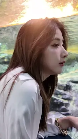 Get ready! Korea is calling 📍NineStar VLOG EP.7 this Sunday 💕 📌 NineStar Studios YouTube Official  ⏰️ 7.00 PM  #NineStarVLOG #YokoApasra #NineStarStudios