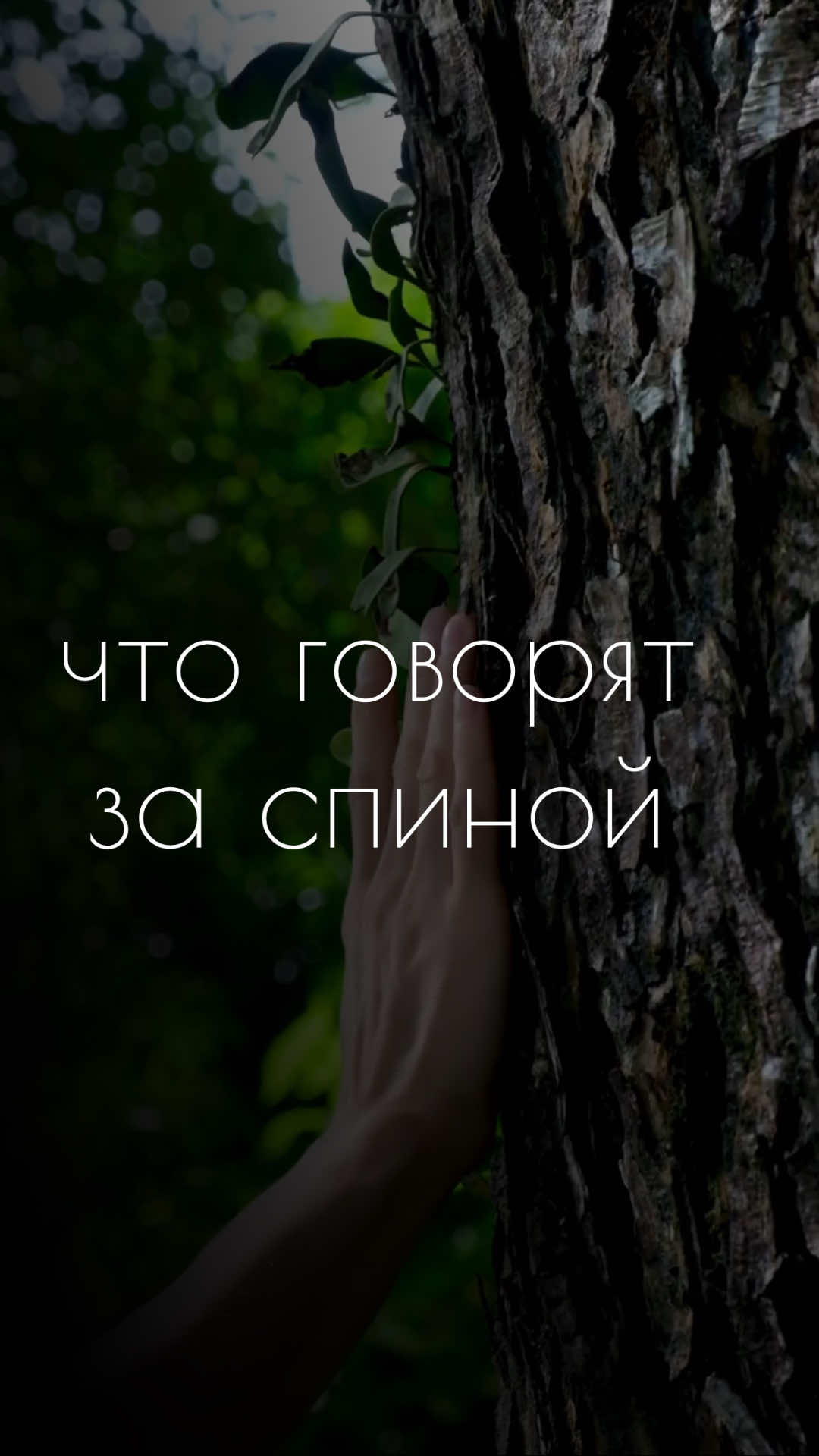 То, что говорят за вашей спиной, часто открывает больше, чем слова в лицо. Это отражение чужих страхов, зависти или восхищения, которые не всегда находят смелость быть озвученными напрямую. Карты помогут увидеть скрытую правду — и отделить важное от пустых разговоров. What is said behind your back often reveals more than words spoken to your face. It is a mirror of others’ fears, envy, or admiration that they may not dare to express openly. The cards can show the hidden truth — and help you separate what matters from meaningless talk. #таро #тароонлайн #раскладтаро #картытаро #отношения           
