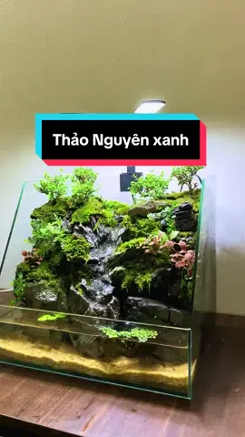 Tiểu cảnh suối thác nước mini để bàn #tieucanh #paludarium #bancan #thacnuoc #ngocaquadesign 