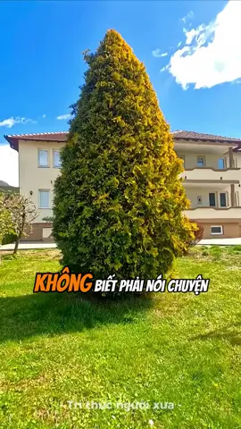 Quản lý không biết cách giao tiếp với nhân viên thế nào #trithuc #phattrienbanthan #lanhdao 