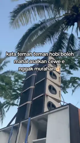 guyon mba✌🏻#soundmalangselatan #fouryoupage #trending #godzila_story 