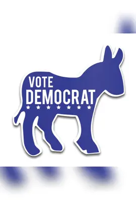 Democrats = Terrorist #911 #democrats #usa #assasination #charliekirk 