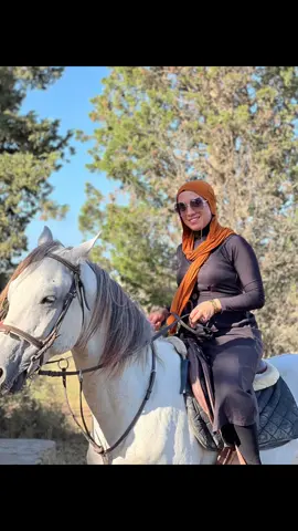 #خيل_وخياله🐎 #خيل_عربي #حصاني #خيال #girls 