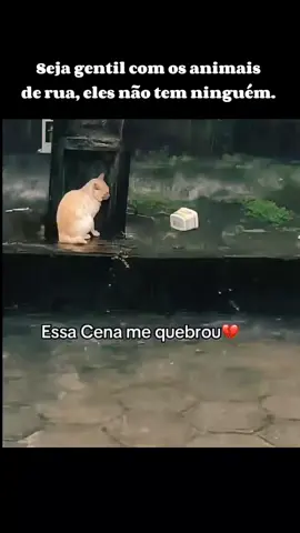 🥺🥺 #animaisderua #animais #emocionante #reflexion #emotional 