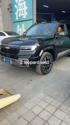 #السعودية #قطر #دبي #creatorsearchinsights 