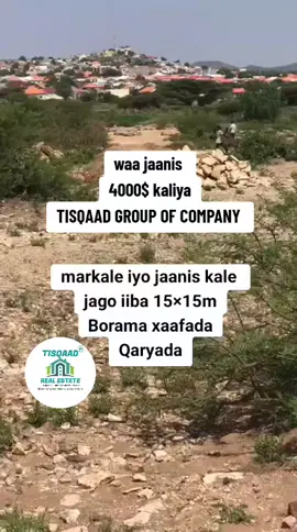 wixii fahfahina video-gan ka ka horeeye ka eeg @TISQAAD GROUP OF COMPANY #somalitiktok #borama #2025 