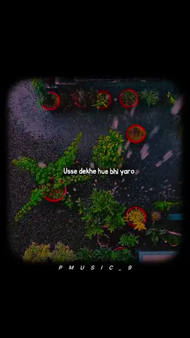 Eak aarsa ho gaya 🥹💗 #new #trending #hindisong #lyrics #lyricsvideo #coversong #bollyhoodsong #tiktokindia #standwithkashmir #xyzbca #foryoupage #support #tiktok #unfrezzmyaccount #pmusic_9 