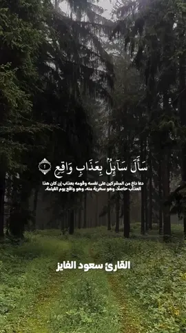 تلاوة جميلة بصوت القارئ سعود الفايز  #فاصبر_صبرا_جميلا  #قران  #سورة_المعارج  #سعود_الفايز  #fypシ゚viral 