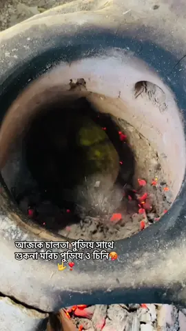 #চালতা পুড়া সাথে শুকনা মরিচ পুড়িয়ে চিনি দিয়ে ভর্তা🥵🥵🔥🥰🤟#foryoupage #bdtiktokofficial #foryou 