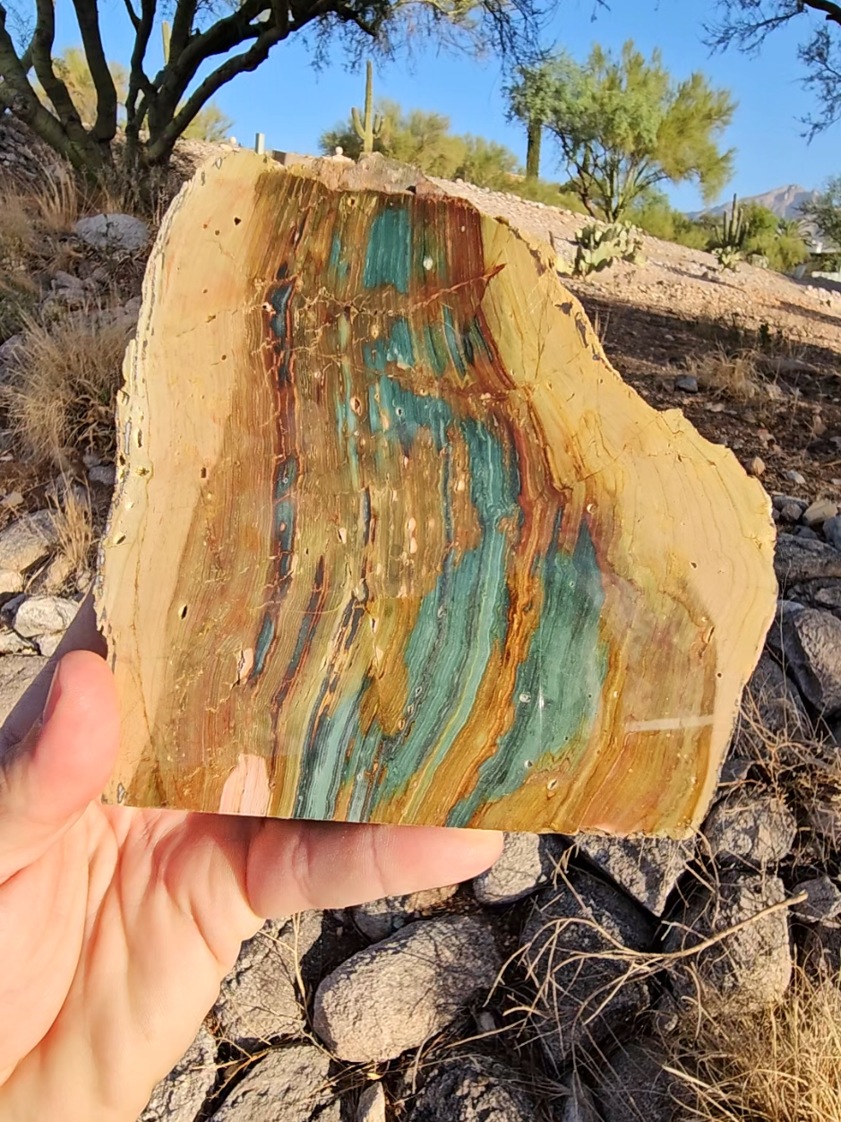 lil sneak peak.. I picked up a good amount of the Gary Green jasper or bogwood from Oregon while at the gem show in Denver.. I might have these on the table sometime.. 🤭 #minerals 