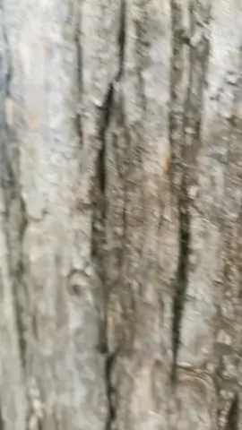 السعادة هي أن تجعل الآخرين سعداء، فعندما تسعد الآخرين، تسعد نفسك أيضا