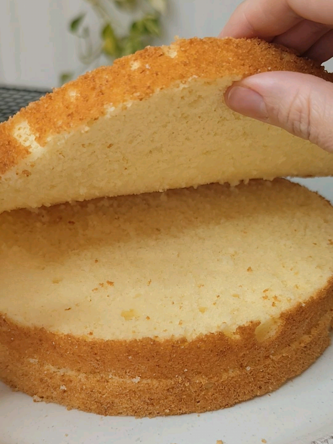 Massa Branca PERFEITA para Bolo Recheado 🎂❤️ Massa Chiffon super fofinha e estruturada, aguenta várias camadas de recheio e é deliciosa! É a massa que sempre usei para fazer bolo de aniversário no meu ateliê de confeitaria ☺️ INGREDIENTES:  *forma 20x7cm ou 15x10cm. *xícara 240ml. *rende uma bolo recheado com cerca de 2kg. ✔️3 ovos (160g) ✔️150g de açúcar refinado (cerca de 3/4 xícara) ✔️50ml de óleo  ✔️pitada de sal ✔️110ml de leite integral morno ✔️175g de farinha de trigo (cerca de 1 e 1/4 xícara) ✔️1 colher (sopa) de fermento em pó (10g) ** Forno pre aquecido 180 graus por cerca de 35 minutos. Gostou? Compartilha com quem você acha que vai gostar também! #bolos  #bolorecheado #confeitaria #chiffon   #metidaagourmet 