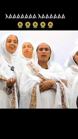#🌻🌻🌻🌻🌻🌻🌻🌻🌻🌻 #cretarserchinsight #አበባየሆሽ🌼🌼🌼🌼🌼🌼🌼 #እልልልልልልልልልልልልልልልልልልልልልልልልልል #ortodoksitewahido💒🙇‍♀️ 
