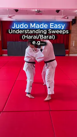 Harai. Barai. They both mean… sweep 🥋 #Judo #JudoLife #martialarts #Tutorial #Ippon #JudoTraining #Grappling #DojoLife #JudoClub  #judoka #blackbelt 