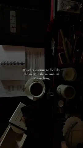 New stationary for a new semester ❄️🏔️🫠🐇  @Cloth & Paper #videodiary #digitaldiary #clothandpaper #darkacademia #darkacademiaaesthetic #tsh #studytok #studywithme #studyaesthetic #studyvlog #pinterestaesthetic #studyessentials 