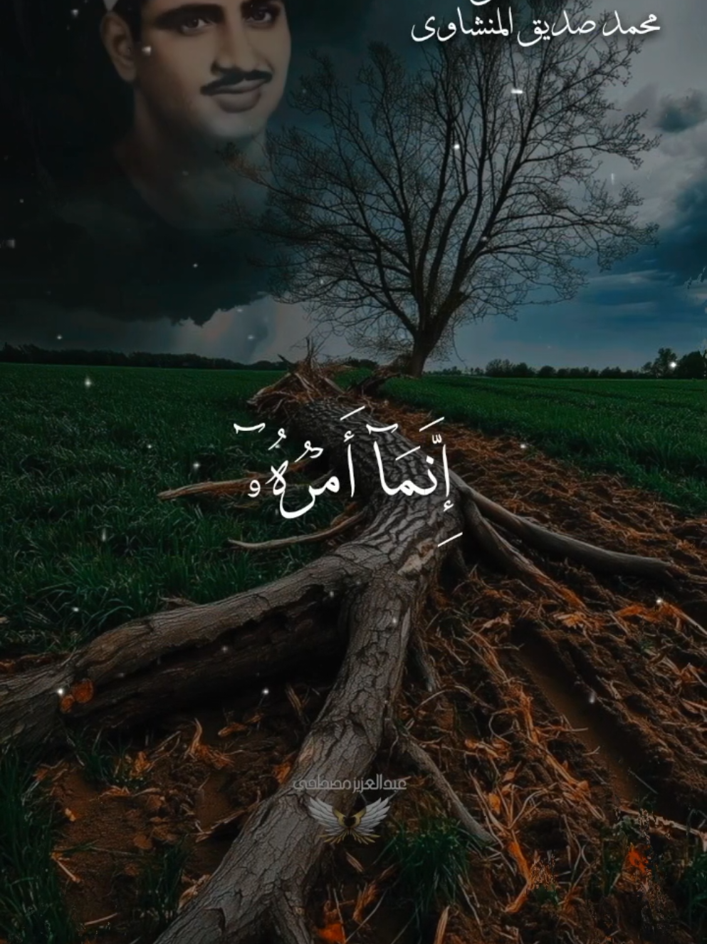 إِنَّمَاۤ أَمۡرُهُۥۤ إِذَاۤ أَرَادَ شَیۡـًٔا أَن یَقُولَ لَهُۥ كُن فَیَكُونُ . . . . . #المنشاوي #قران_كريم #quran #تلاوة_خاشعة 