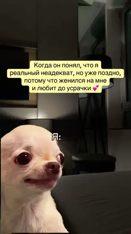 #CapCut #💕 